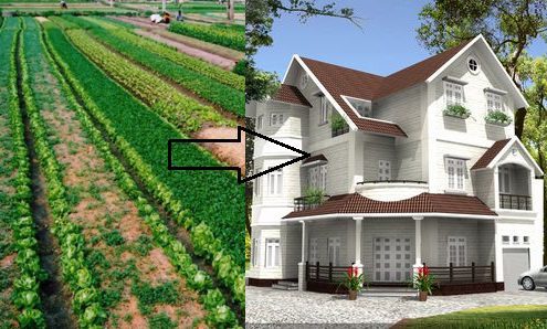 đất trồng cây lâu năm có được xây nhà không xử phạt thế nào