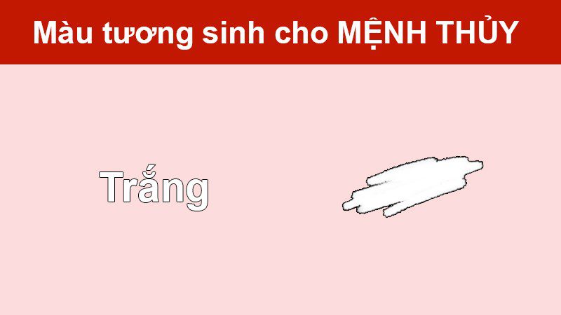 Màu trắng Màu trắng