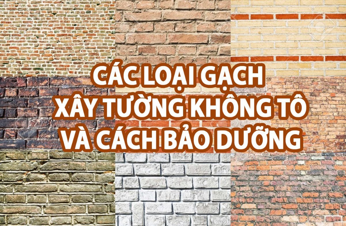 Các Loại Gạch Xây Tường Không Tô Và Cách Bảo Dưỡng - Top... 10 featured ai 1785389184957