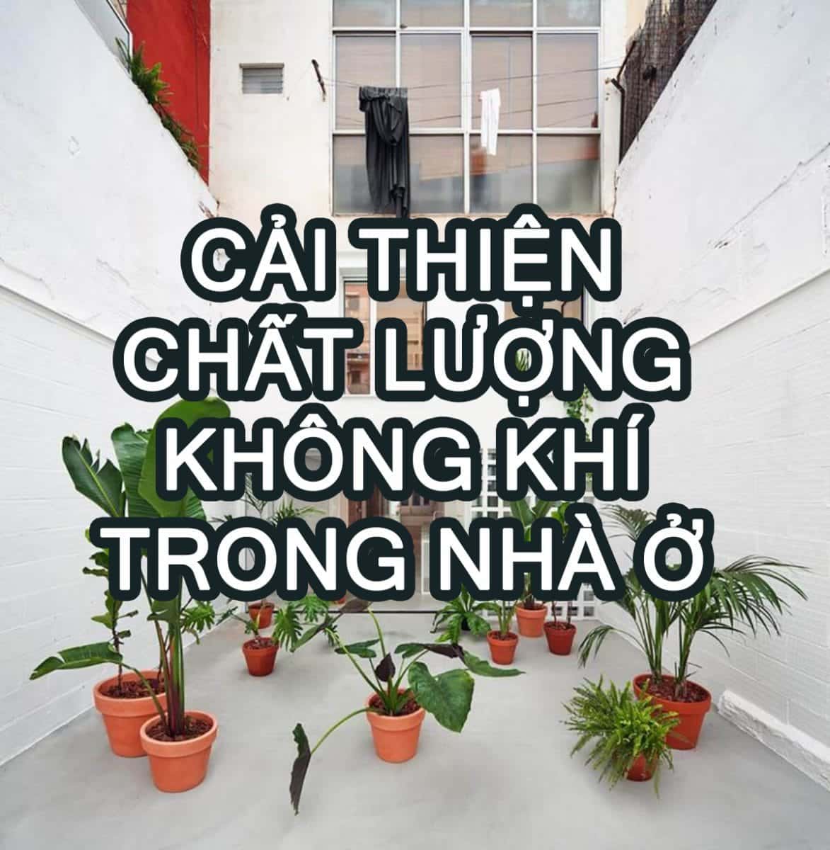 Làm thế nào để cải thiện chất lượng không khí trong nhà ở... 13 featured ai 1785389282032
