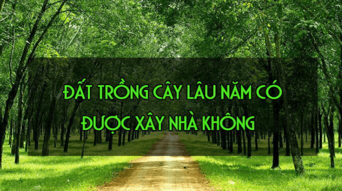 1. Đất Trồng Cây Lâu Năm Có Được Xây Nhà Không? 7 featured ai 1785424767790